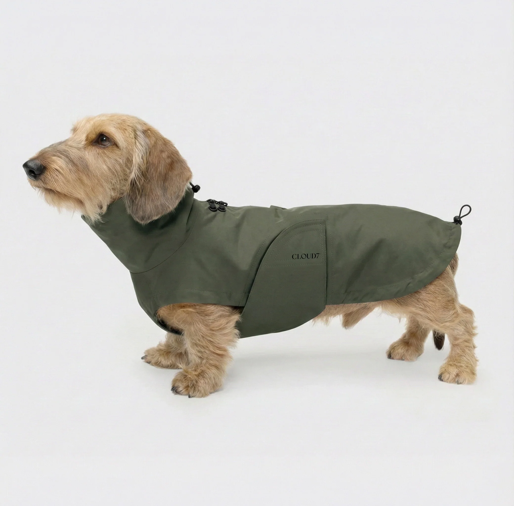 CLOUD7 Dackel Hunderegenmantel Dublin 2.0 Dark Olive