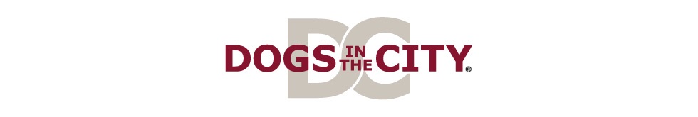 DOGS in the CITY DOGS in the CITY