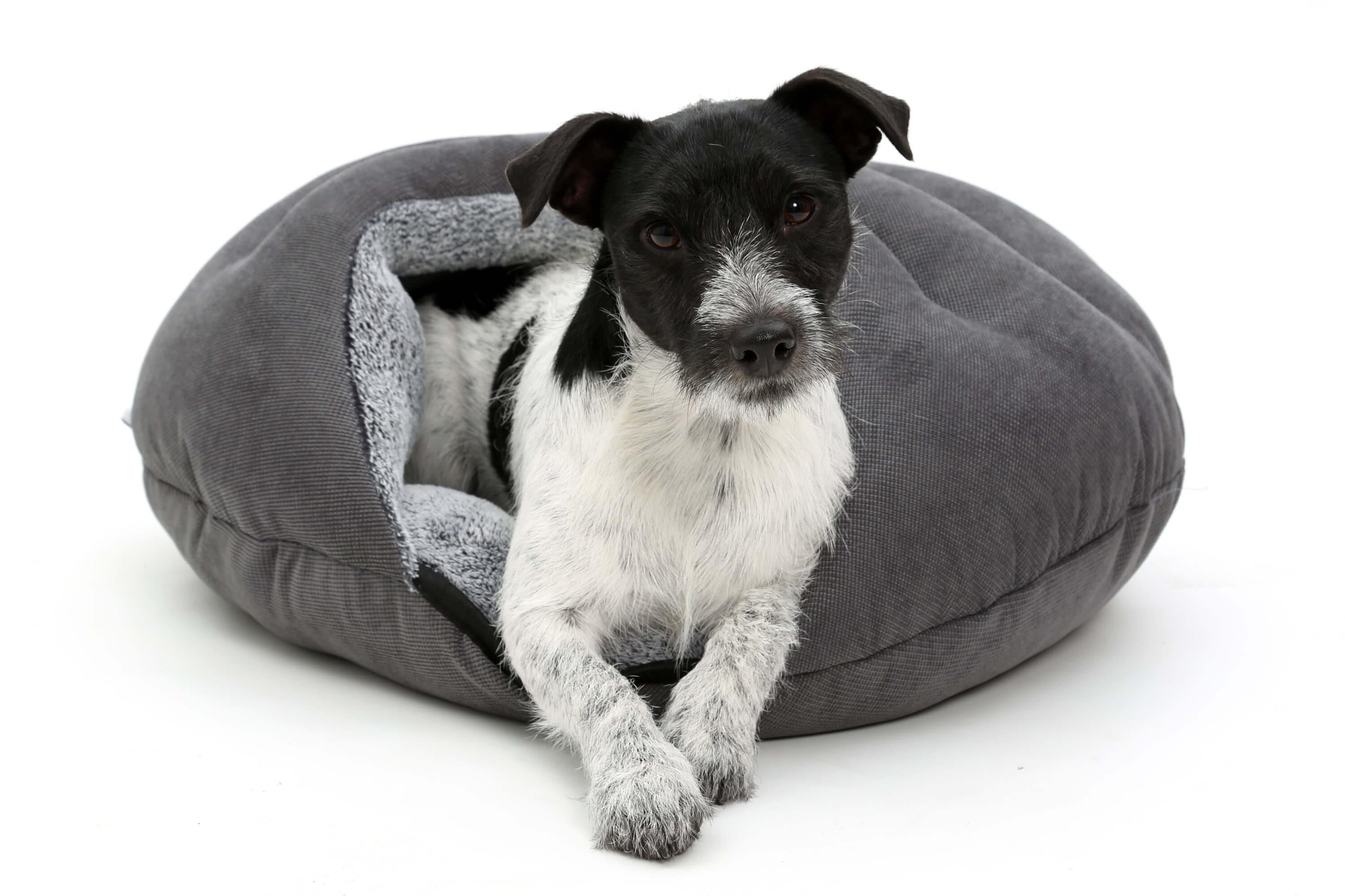 Hundebett, Hundehöhle Bubble Anthrazit - Grau