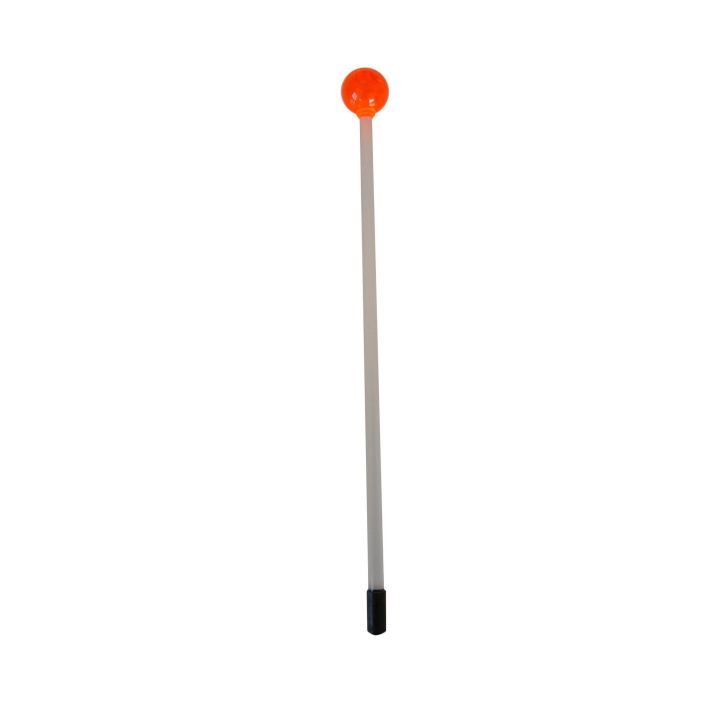 Lollipop Target Stick Rot von Karen Pryor