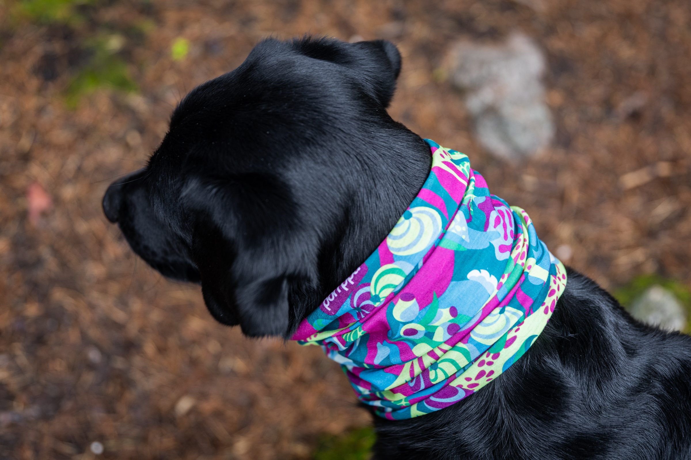 Pomppa Loop Schlauchschal Halswärmer für Hunde Trail