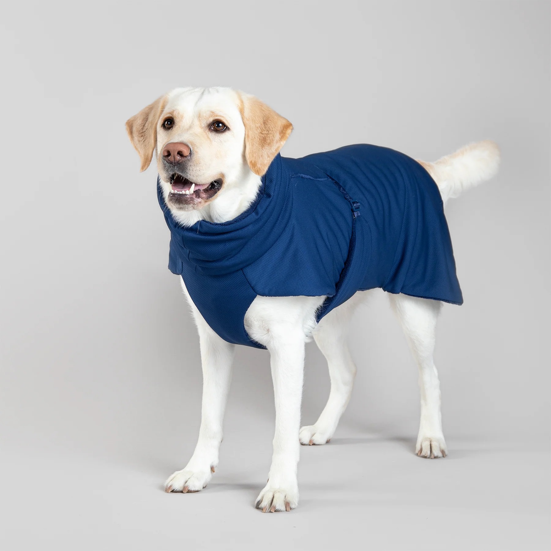 1076001_PAIKKA_Drying_Coat_2Go_navy_4_1800x1800 PAIKKA Hundebademantel ToGo Navy