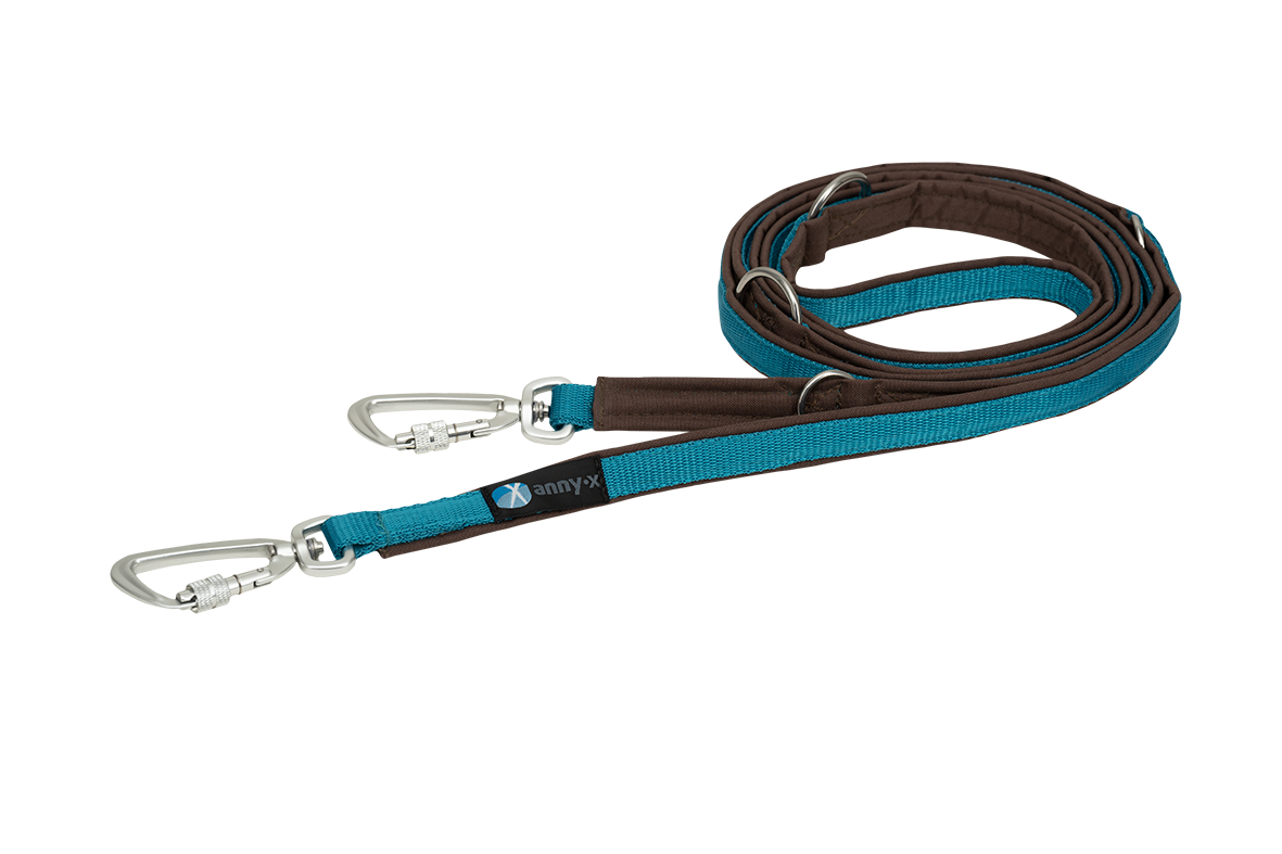 AnnyX Gepolsterte Führleine Safety Fun Braun / Petrol