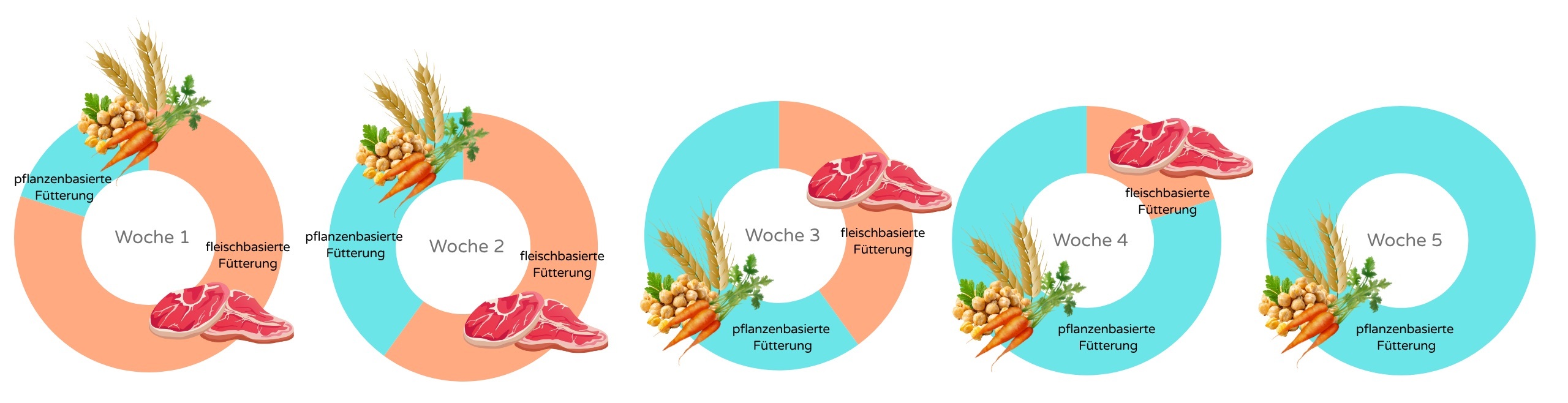 Futterumstellung auf vegetarische Kost in Schritten