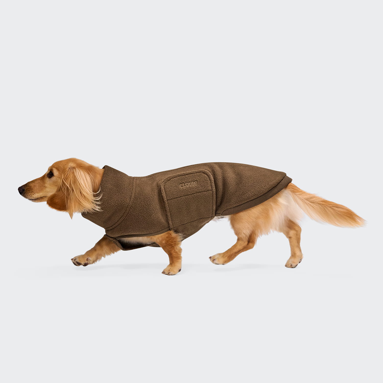 CLOUD7 Dackel Hundepullover Derby 2.0 Fleece Coffee