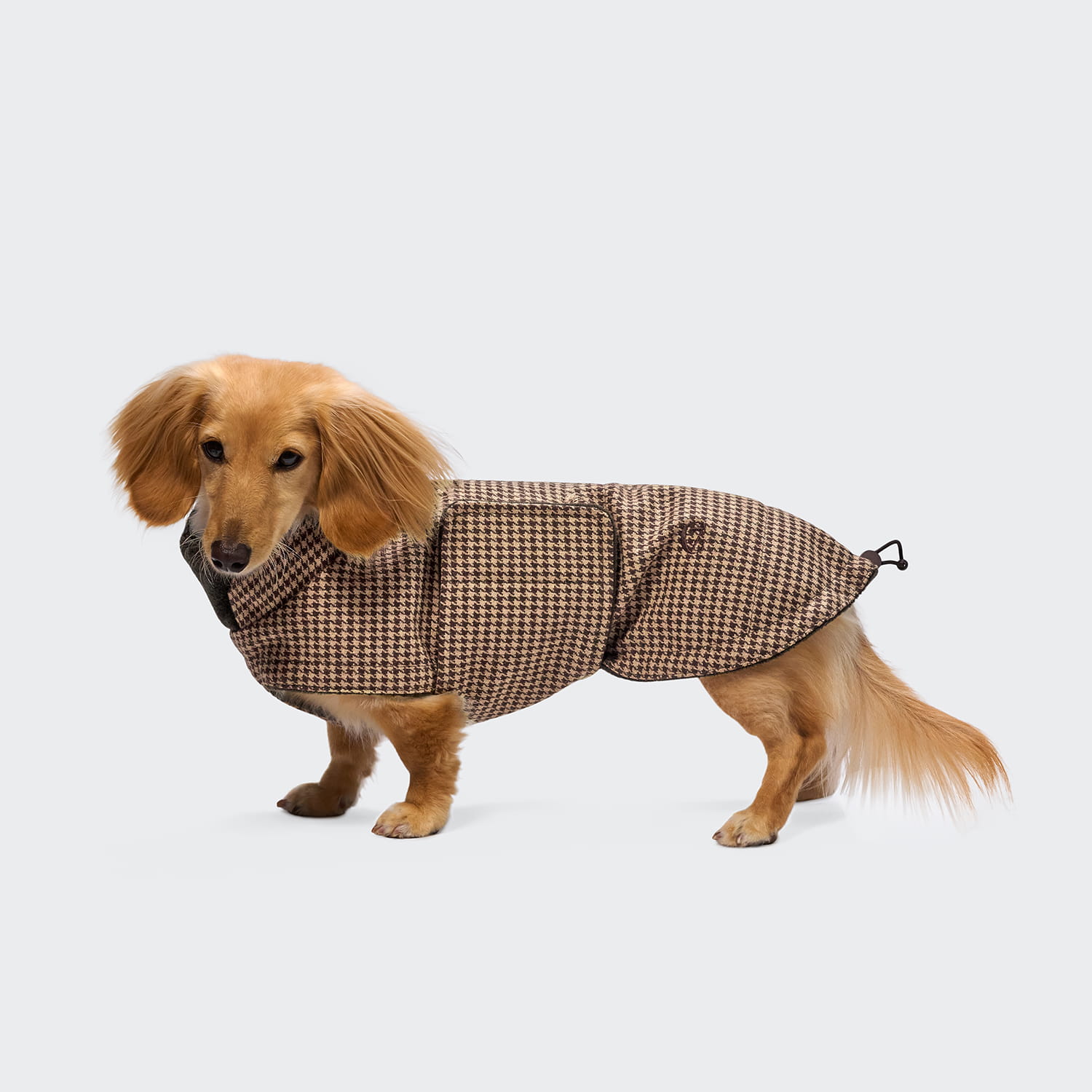CLOUD7 Hundemantel Dackel Brooklyn Hahnentritt