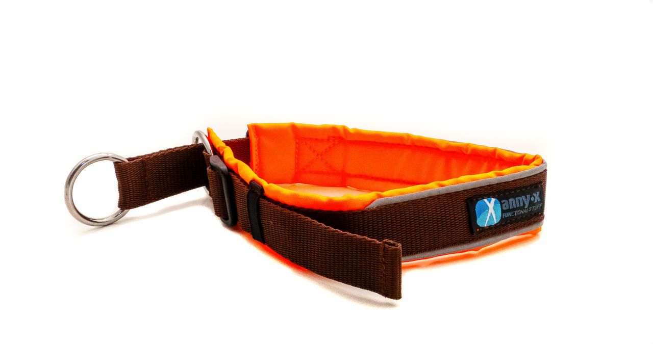 annyx-Zugstopp-Halsband-leuchtorange-braun-2 AnnyX Zugstopp Halsband Protect Leuchtorange / Braun