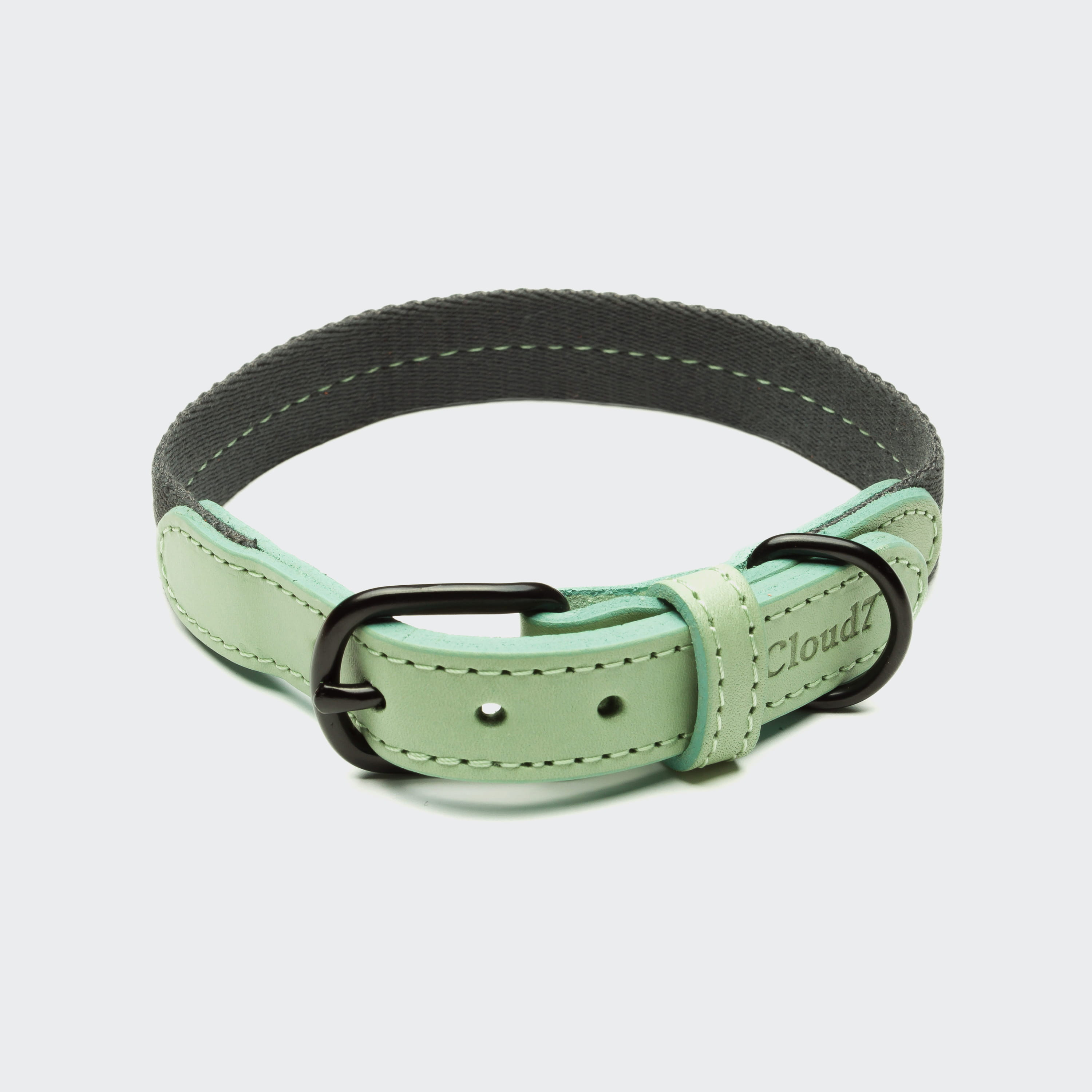 cloud7-dog-collar-madeira-mint-on-grey Cloud7 Halsband Madeira Mint