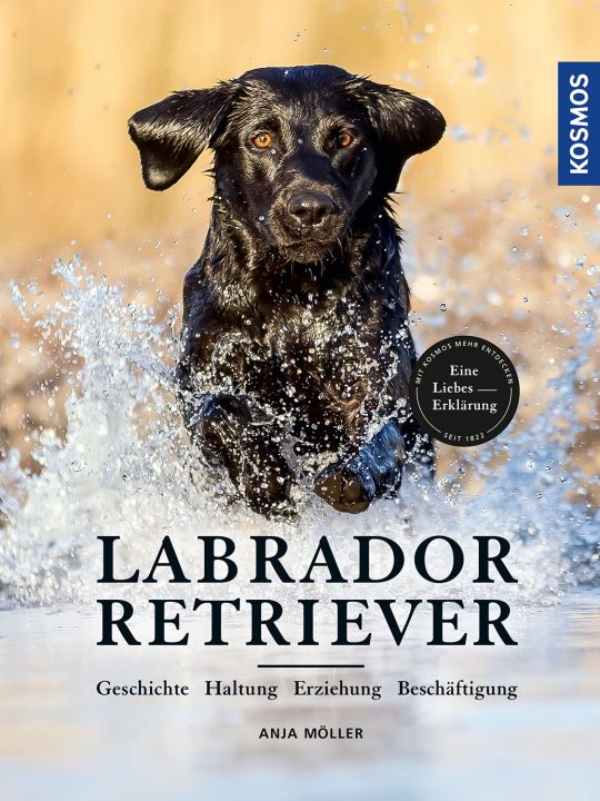 KOSMOS Labrador Retriever