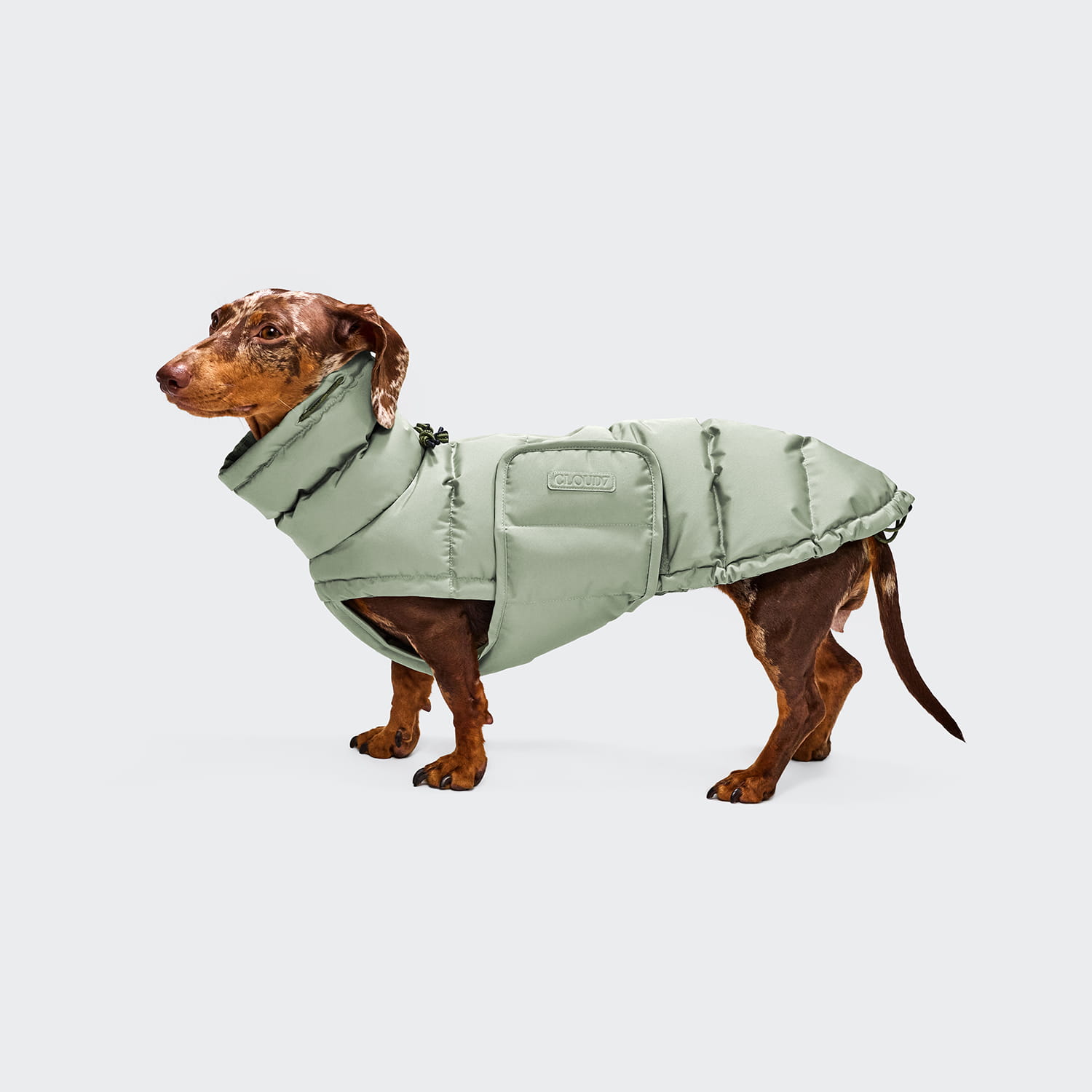 Cloud7 Hundemantel Dackel Alaska Dusty Mint