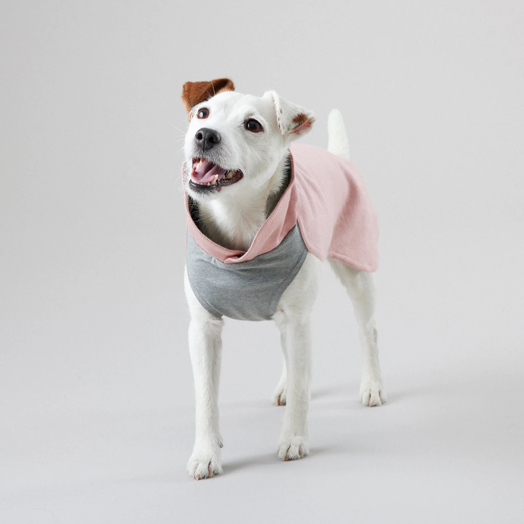 Paikka-pet_112645-2_1800x1800 PAIKKA Recovery Winter Shirt Rosa