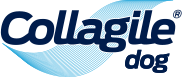 Collagile GmbH