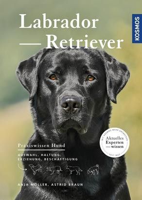 KOSMOS Labrador Retriever Taschenbuch