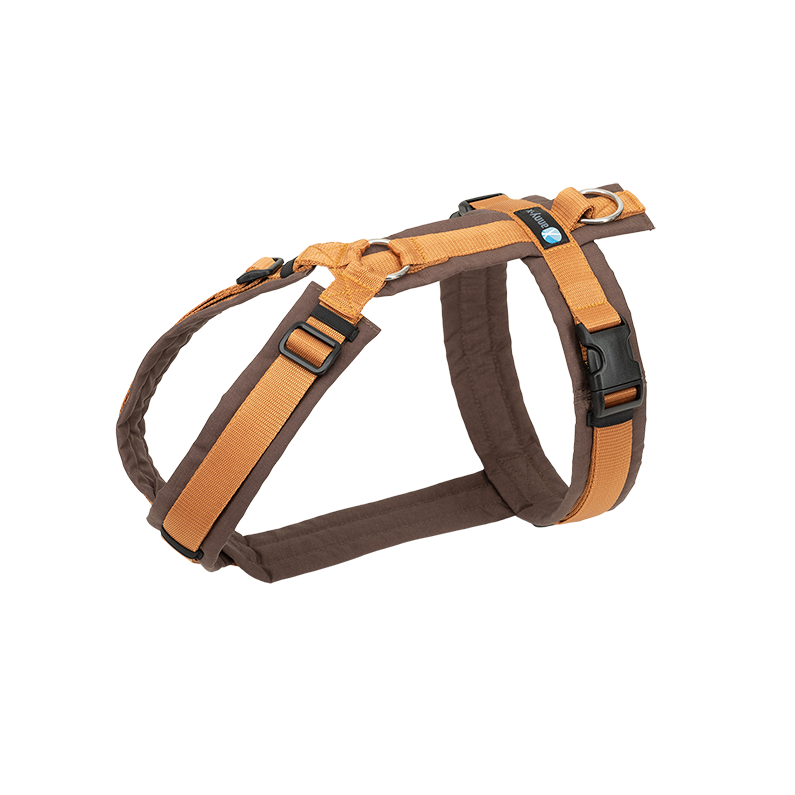 annyX Geschirr Fun Braun/Bernstein