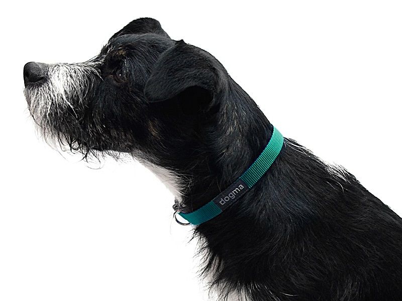 dogma_ray_navy_HB_157ac592f87dfc