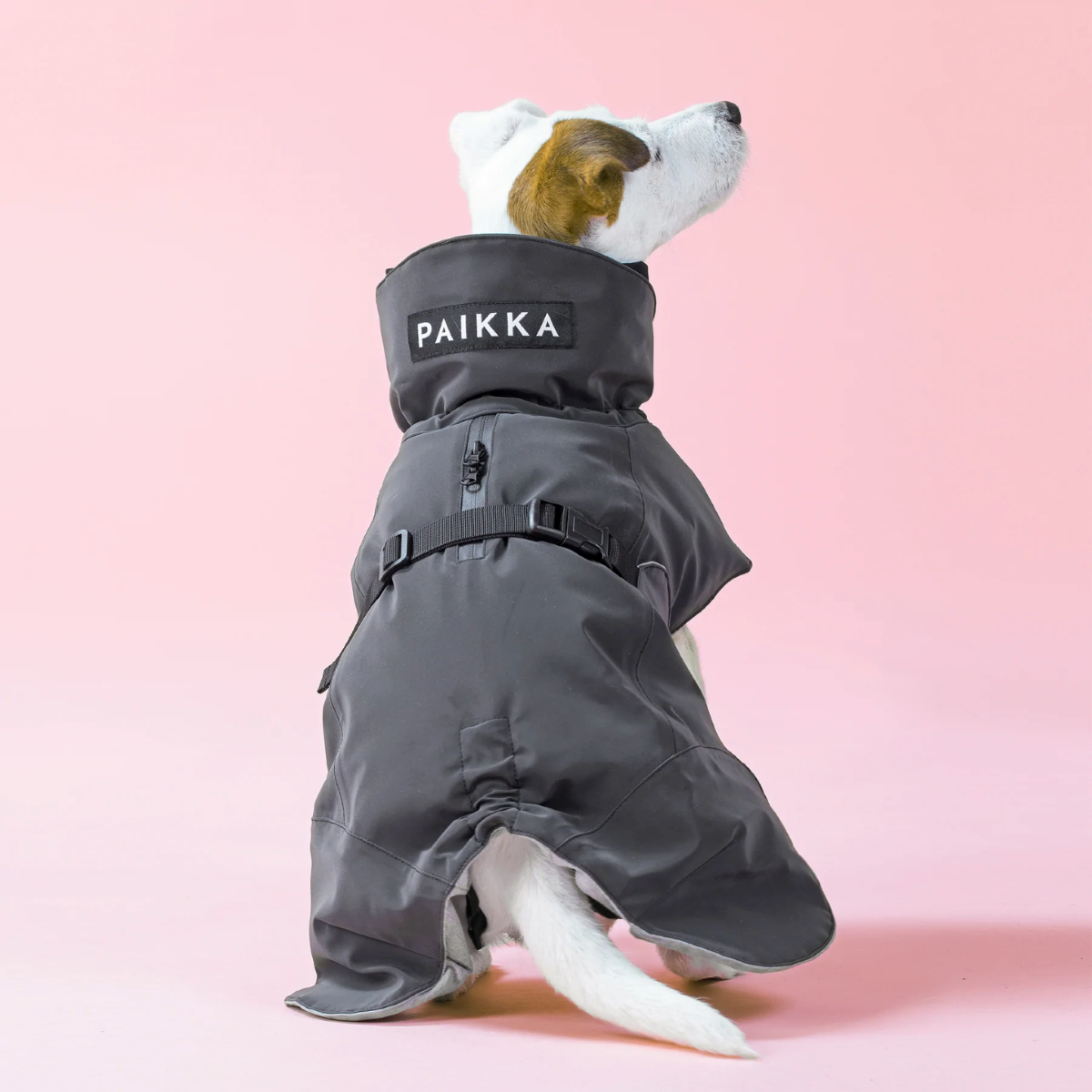 PAIKKA2022-06-20-1110_1800x1800