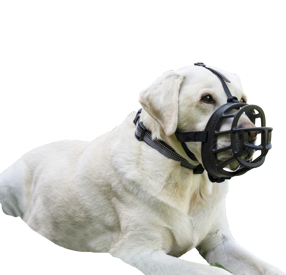 1_Ultra_Labrador_Dog_-_Size_5 Baskerville Ultra Muzzle Maulkorb für Hunde