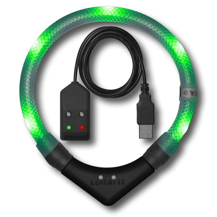 led-leuchthalsband-leuchtie-hund-pro-easycharge-gruen-transparent_png LEUCHTIE Easy Charge Grün im transparenten Schlauch