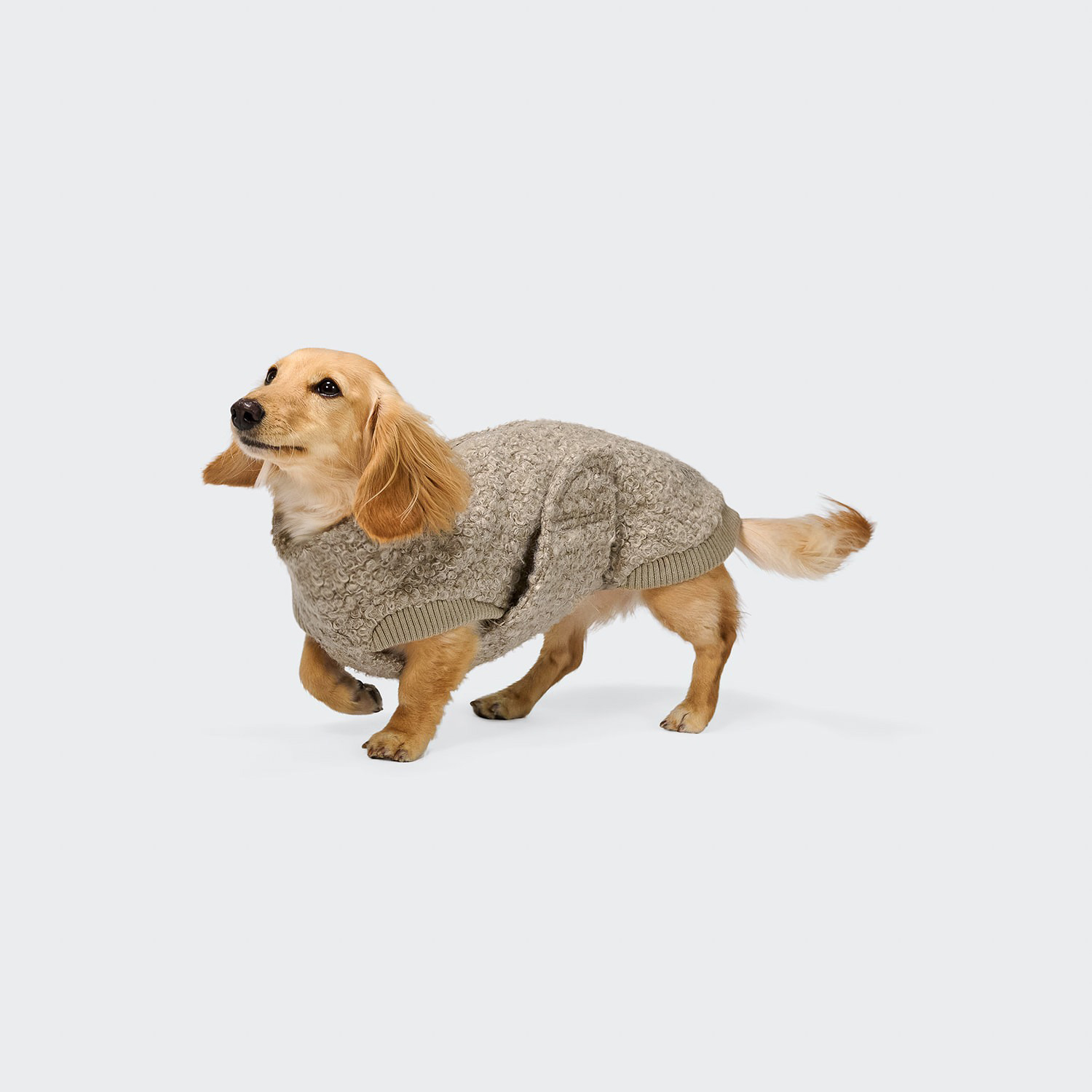 CLOUD7 Dackel Hundepullover Gotland Sandy Brown