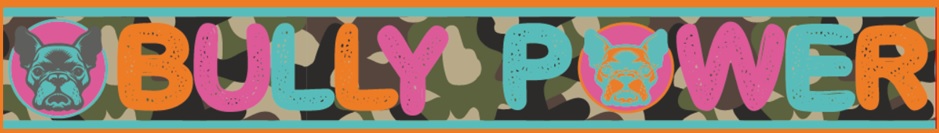 Bullypower Segeltuch Halsband Bully Power Gr. MK (kurz)  30-50 cm