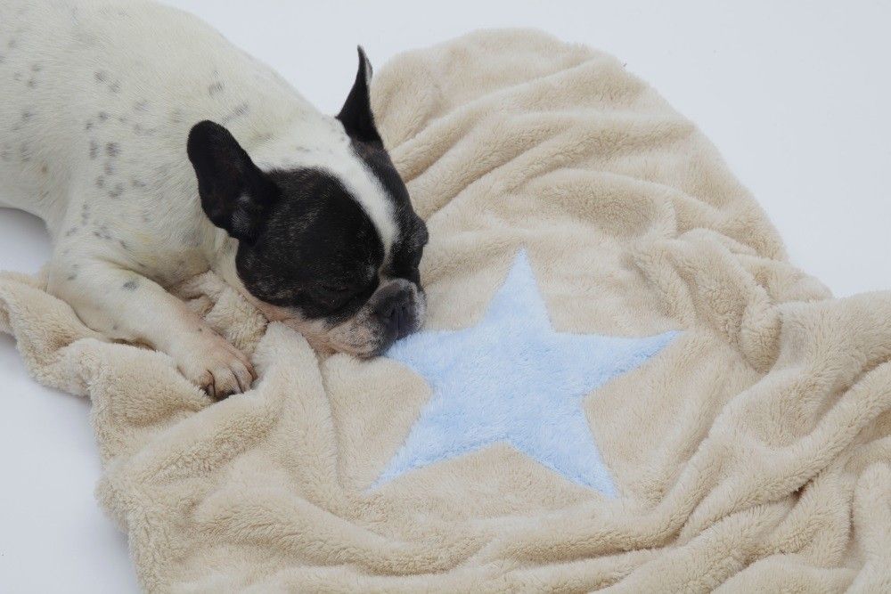 1469078580_7525155899f39701315