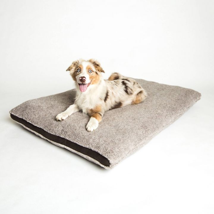 cloud7-dog-bed-siesta-teddy-dog-1