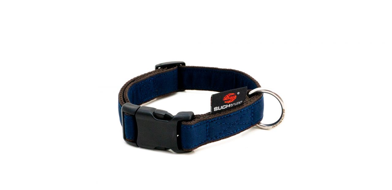 DSC00862 SUCHtrupp® Pure Dark Blue mit Braun Steckhalsband Chrom