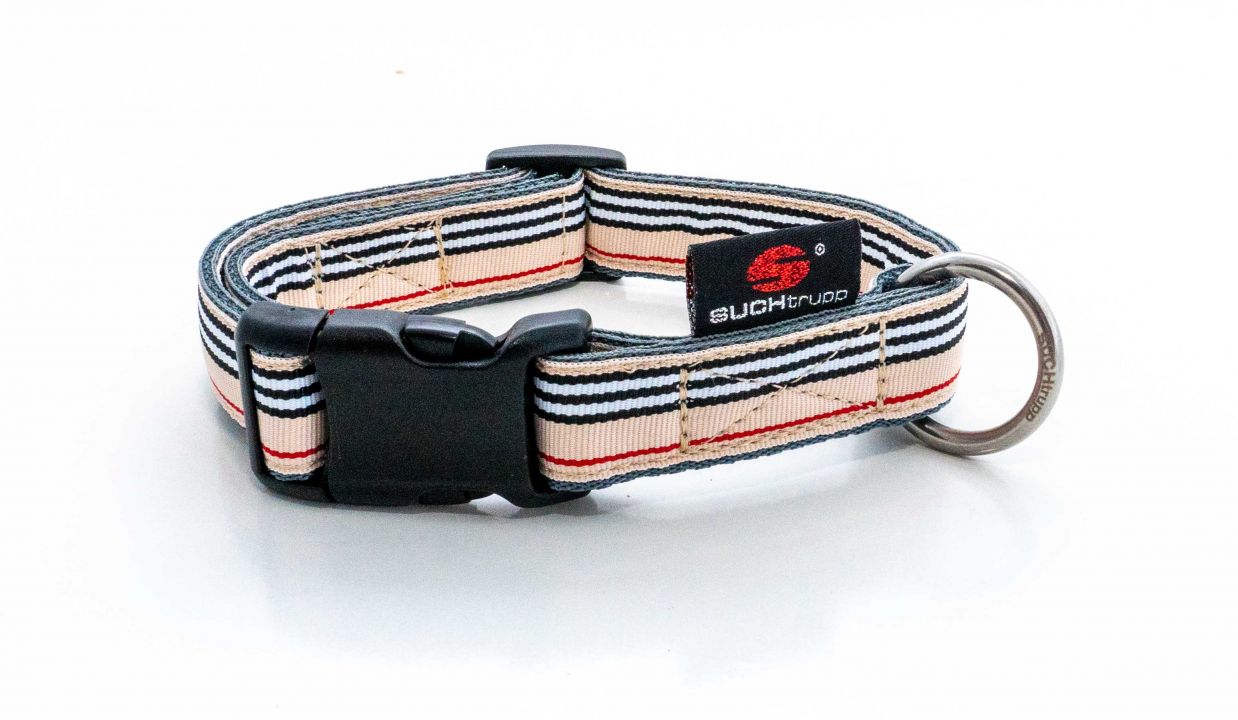 DSC01897 SUCHtrupp® Pixie Steckhalsband (Grau unterlegt)