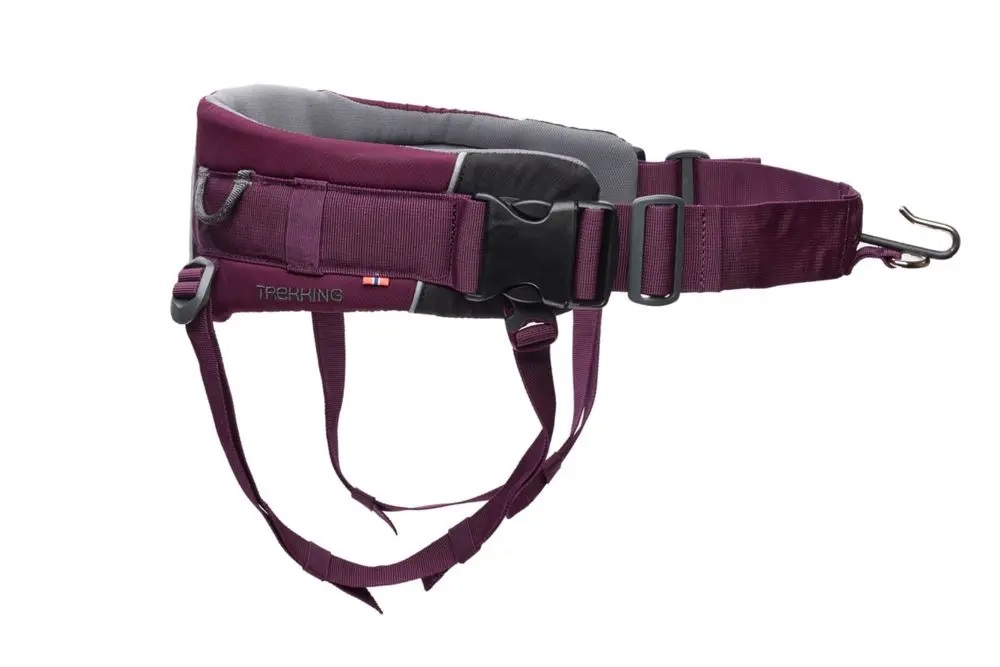Non-stop dogwear Trekking Belt 2.0 purple | Bauchgurt lila