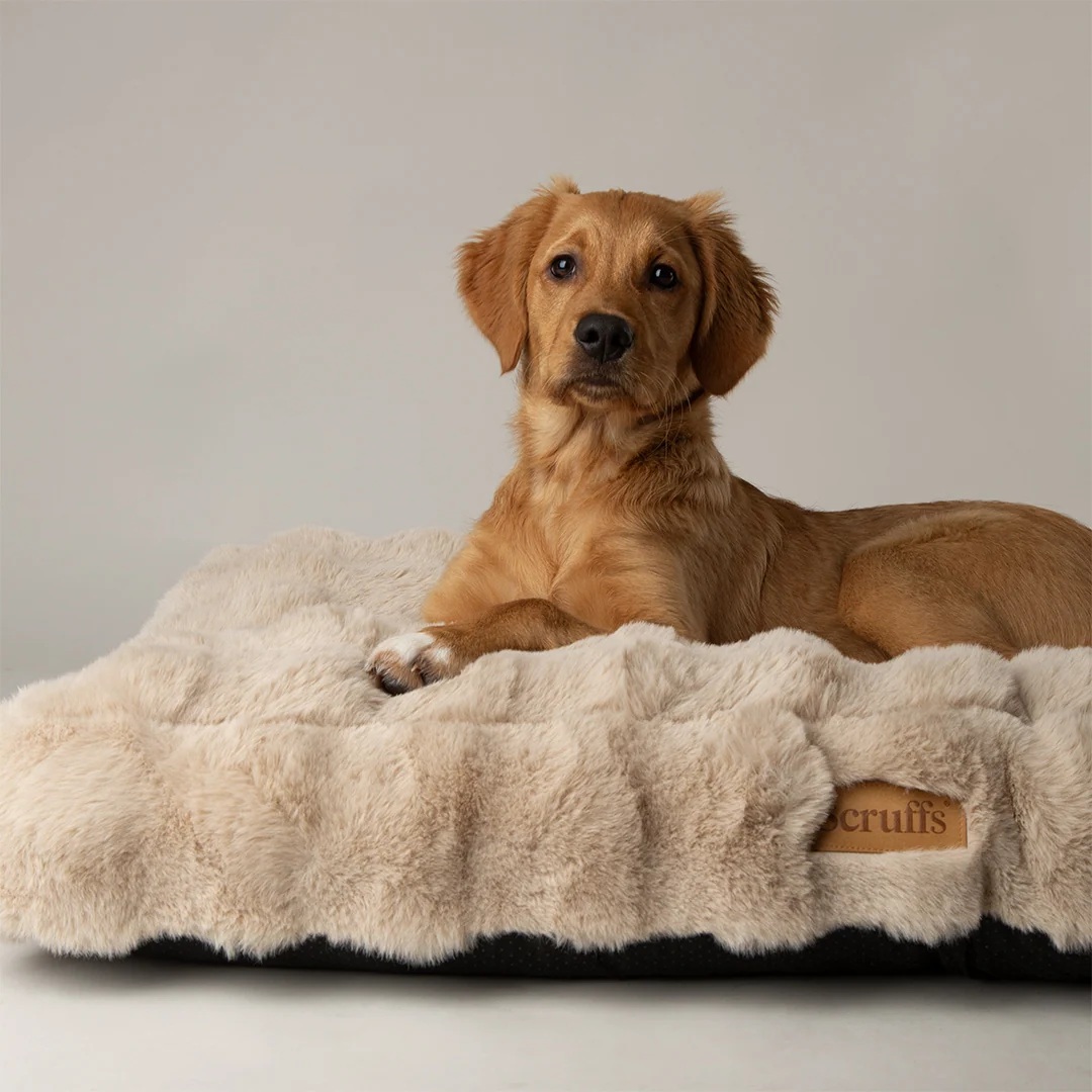 Scruffs Alpine Hundematratze, XL 120 × 75 cm