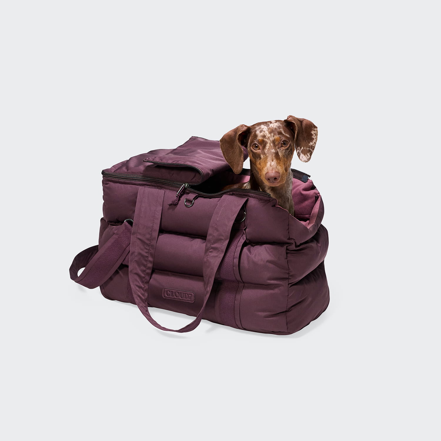 Cloud7 Hundetasche Montreal 2.0 Dark Aubergine