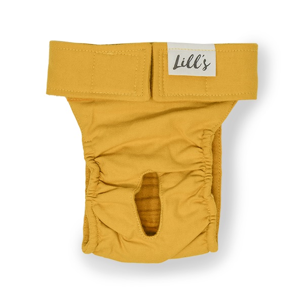 Lill's Läufigkeitshöschen aus Bio-Baumwolle Amber