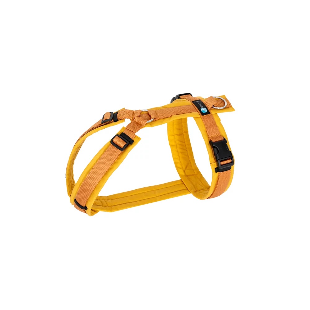 brustgeschirr-fun-goldgloeckchen1 annyX Geschirr Fun Goldglöckchen