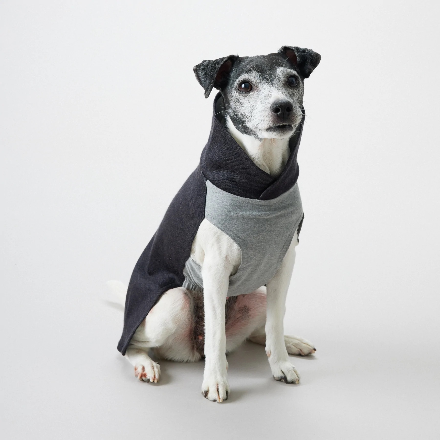 Paikka-pet_112732-2_1800x1800 PAIKKA Recovery Winter Shirt Grau