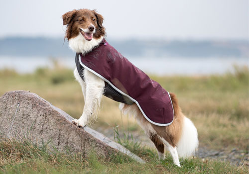 Pomppa Sportti Maroon jetzt entdecken
