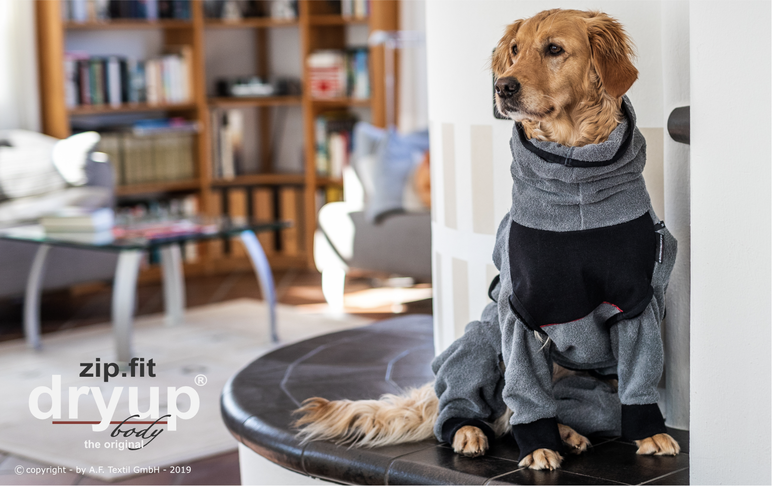 Dryup Body zip.fit Graphit