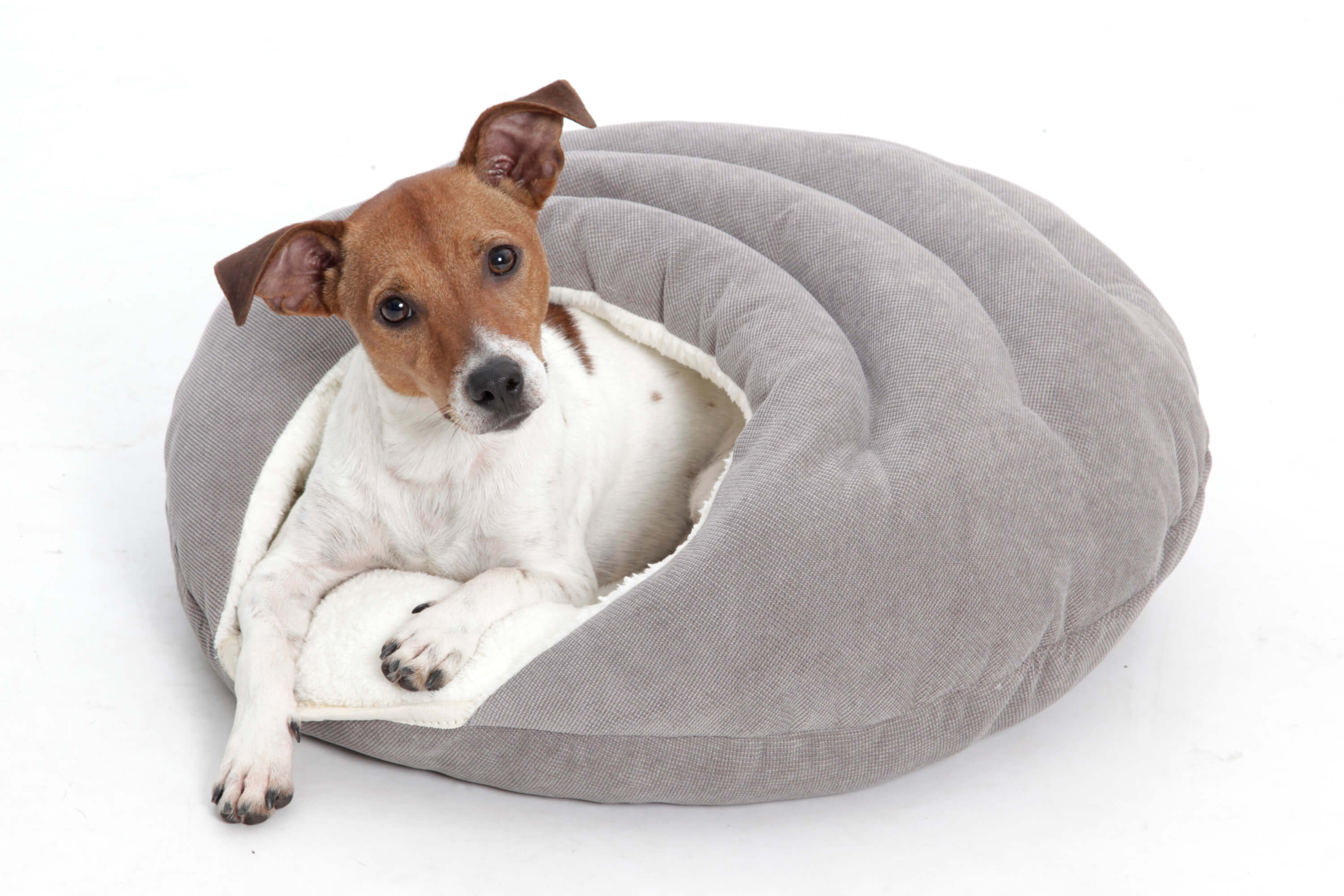 Hundebett, Hundehöhle Bubble Grau - Creme