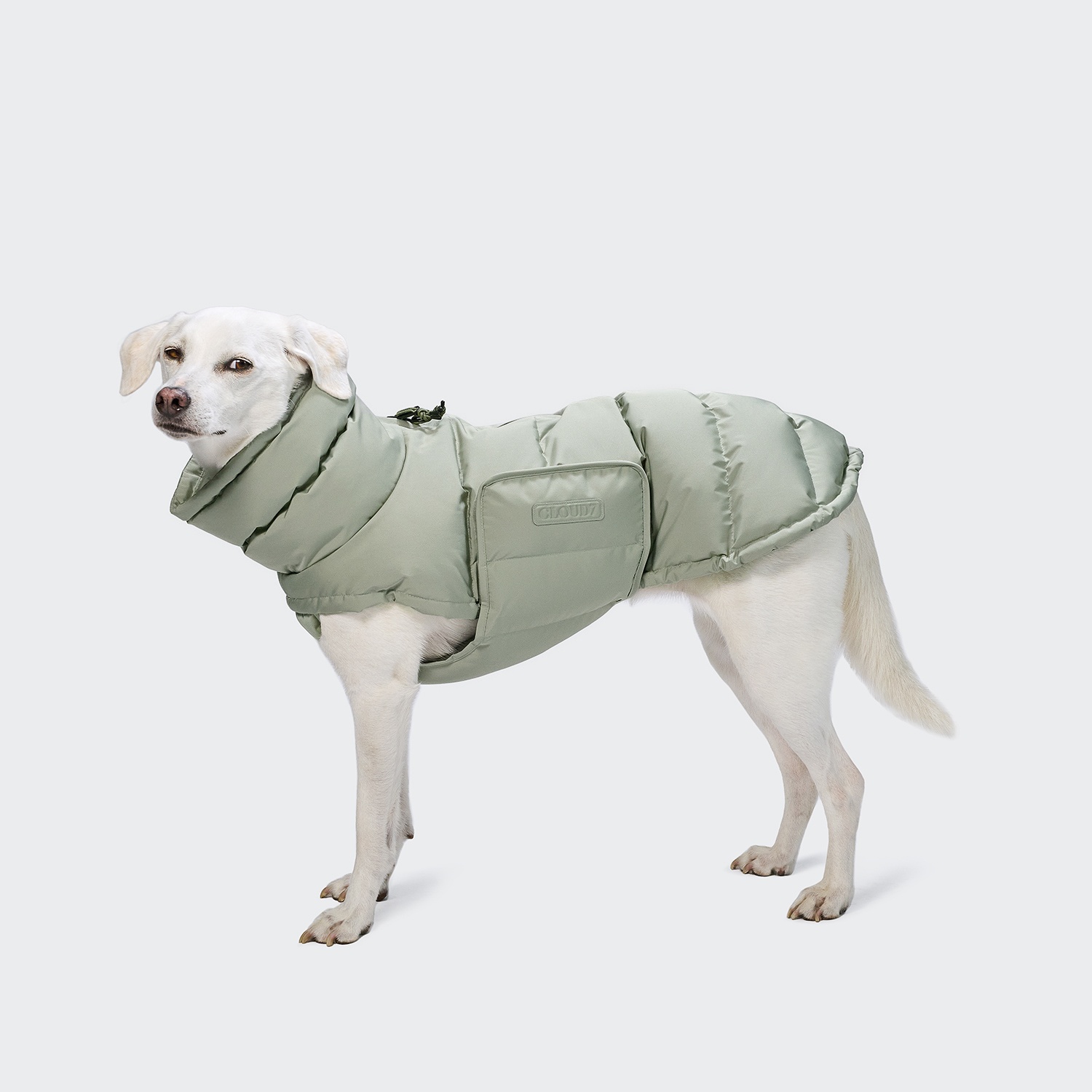 Cloud7 Hundemantel Alaska Dusty Mint