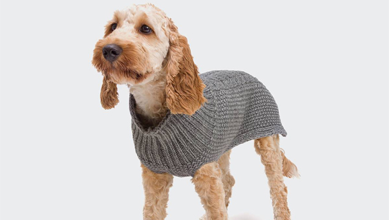 Hundepullover Hundepullover