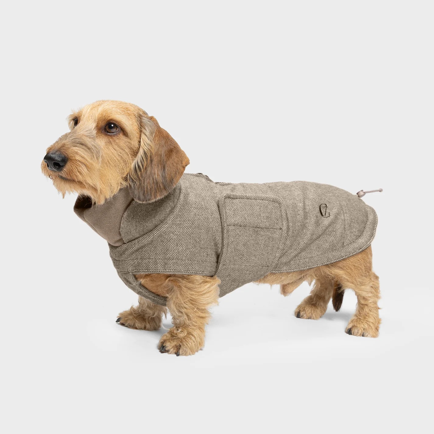 CLOUD7 Dackel Hundemantel Brooklyn Tweed Beige