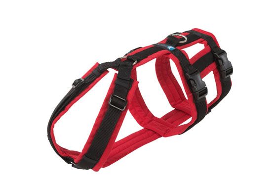 AnnyX Safety Geschirr