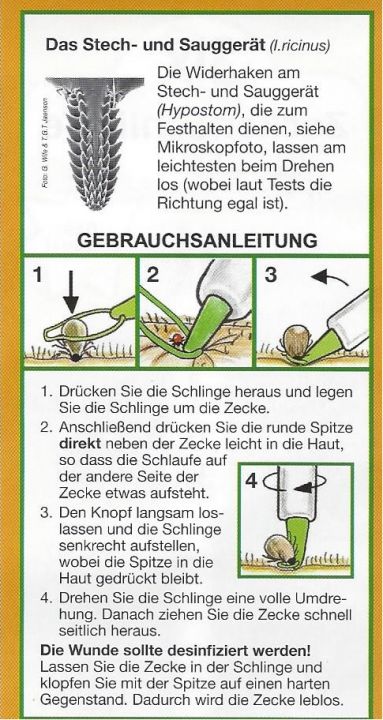 Zeckenschlinge-Cover-2