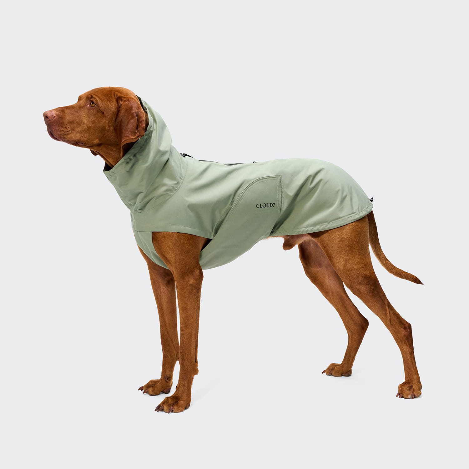 Cloud7 Hunde Regenmantel Dublin 2.0 Dusty Mint