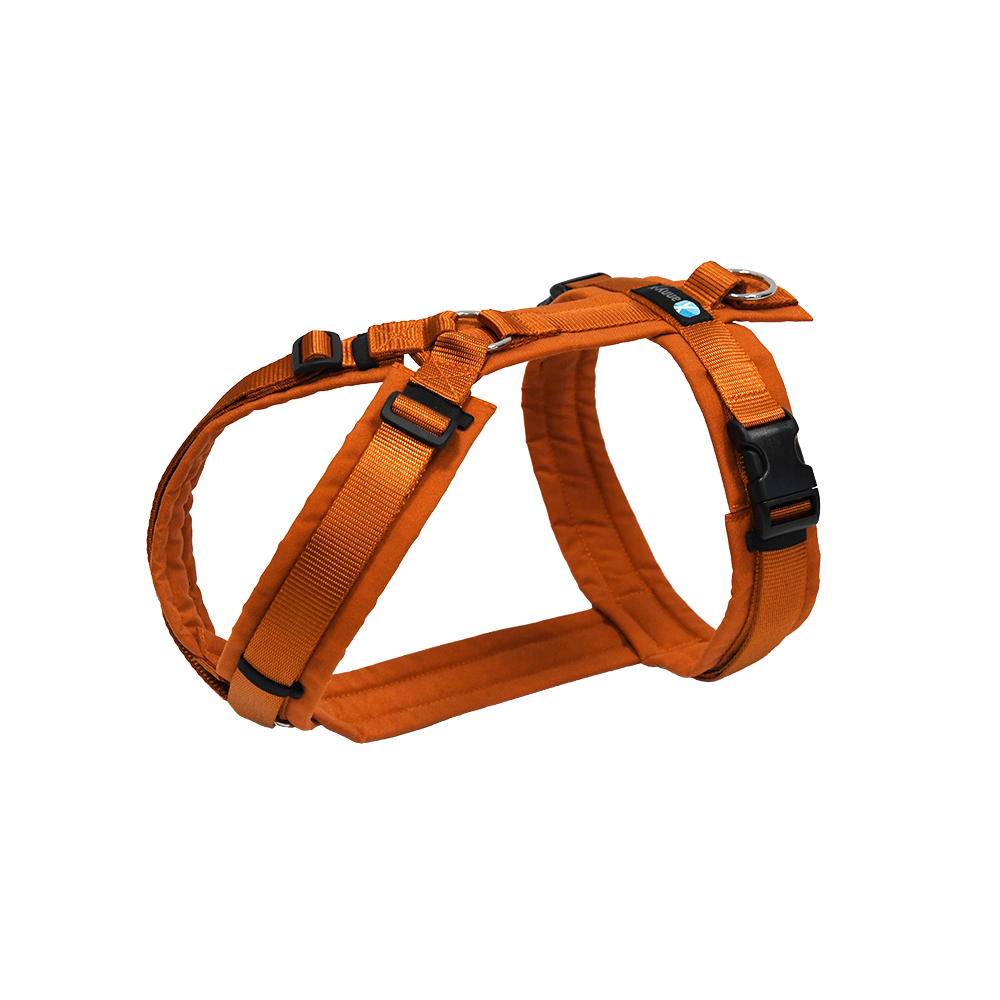 annyX Geschirr Fun Ahorn