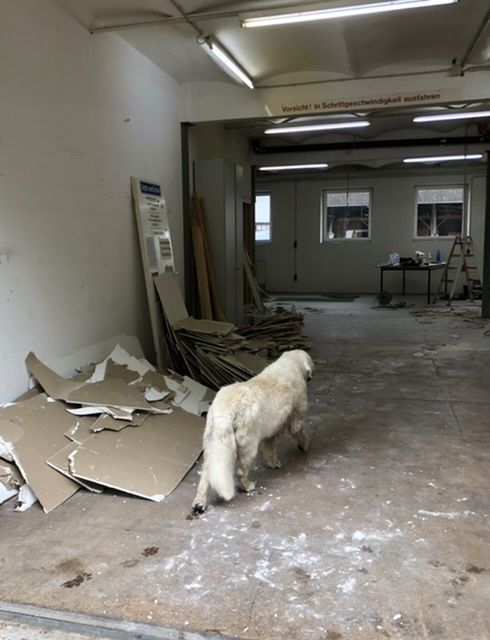 F74FF5D9-899D-4647-9149-E36CC1F356BE Wie alles begann