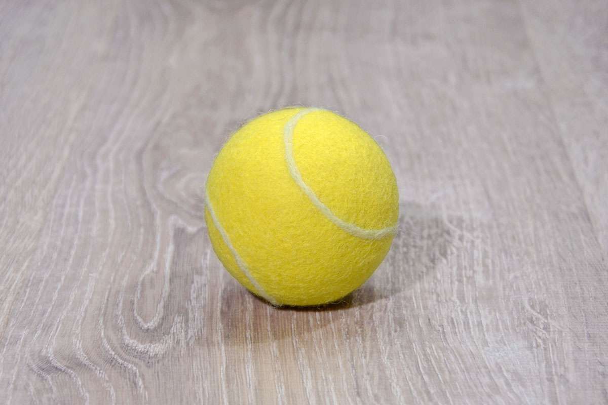 TREUSINN Hundespielball FILZY Tennisball TREUSINN Hundespielball FILZY Tennisball