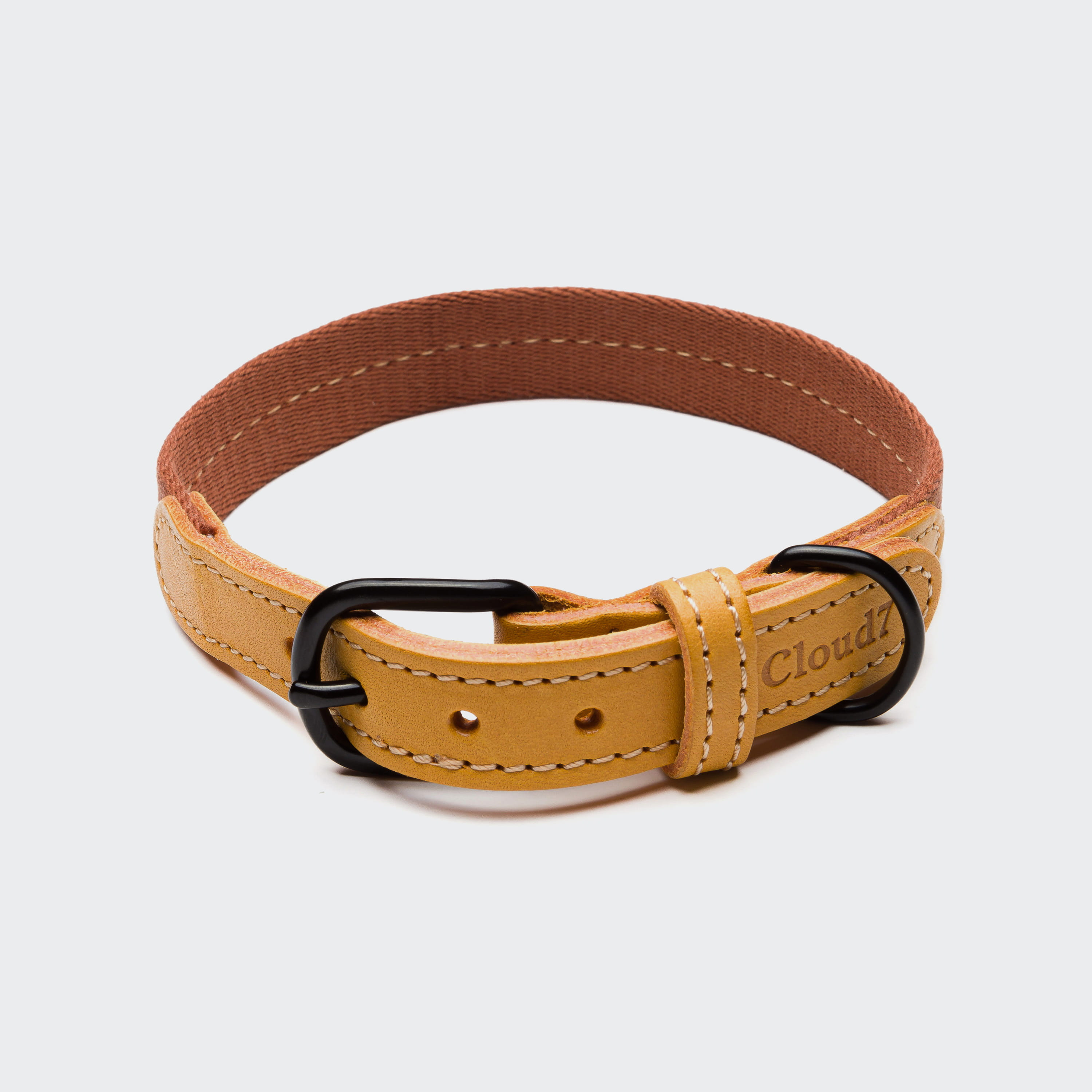 cloud7-dog-collar-madeira-ginger-on-grey Cloud7 Halsband Madeira Ginger