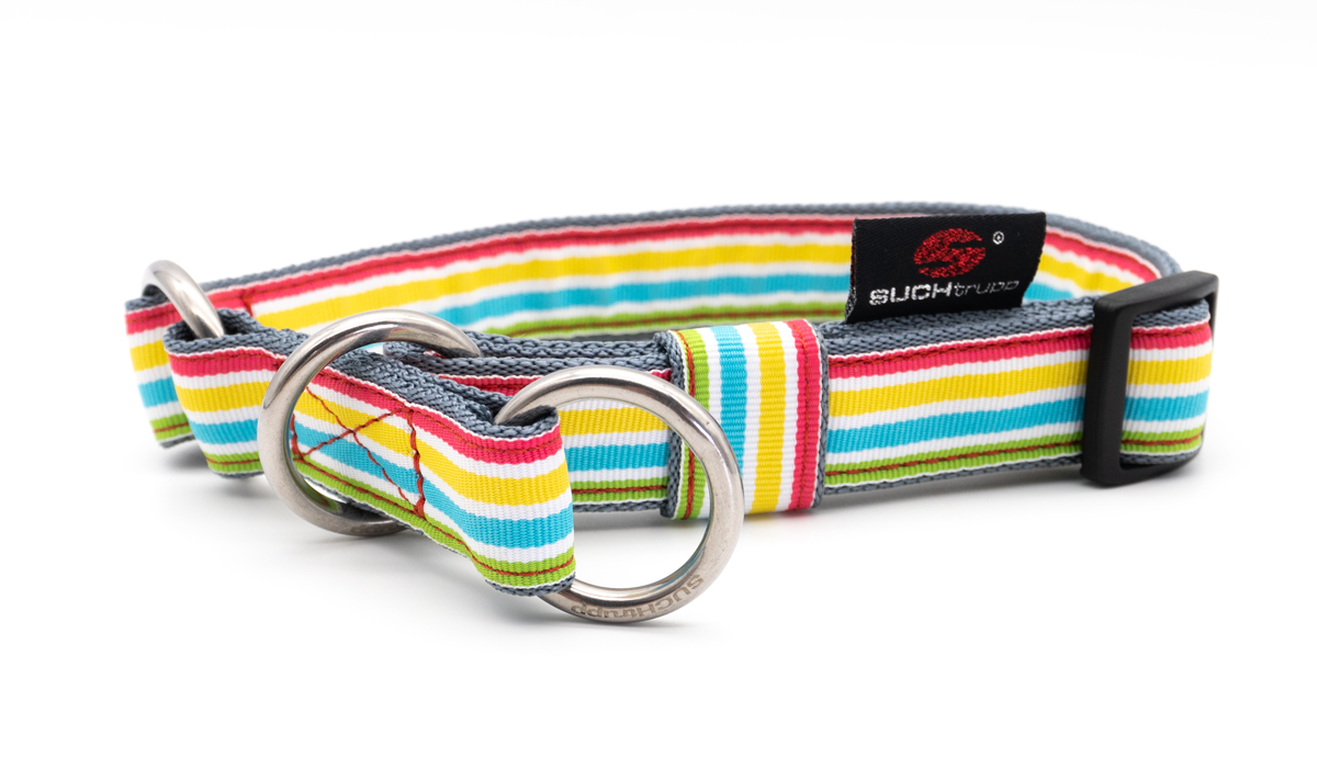Suchtrupp-Schlupfhalsband-Marley SUCHtrupp® Marley (unterlegt mit grauem Gurtband) Schlupfhalsband