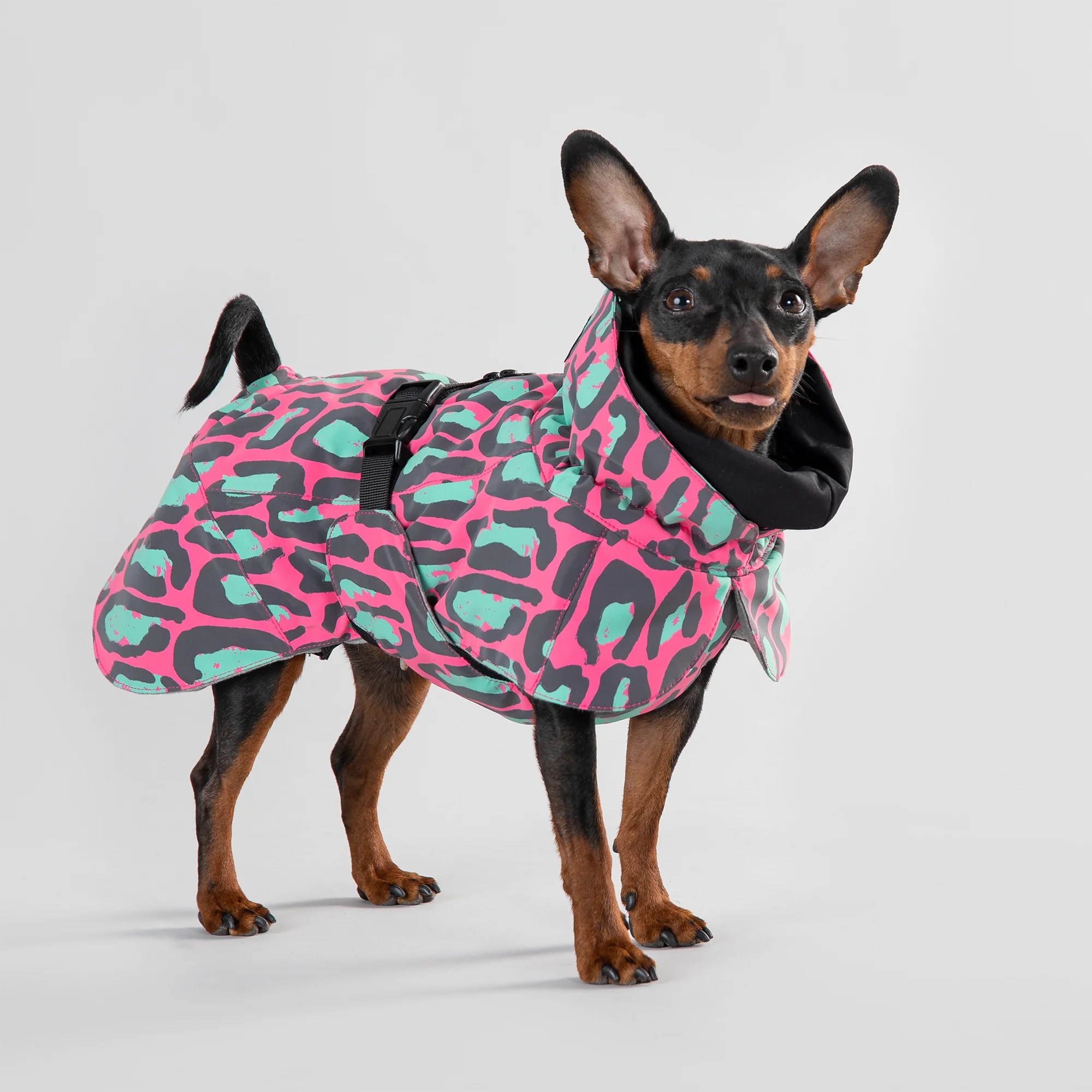 1042066_PAIKKA_Visibility_Winter_Jacket_jungle_6_1 PAIKKA Visibility Wintermantel für Hunde Farbe Jungle