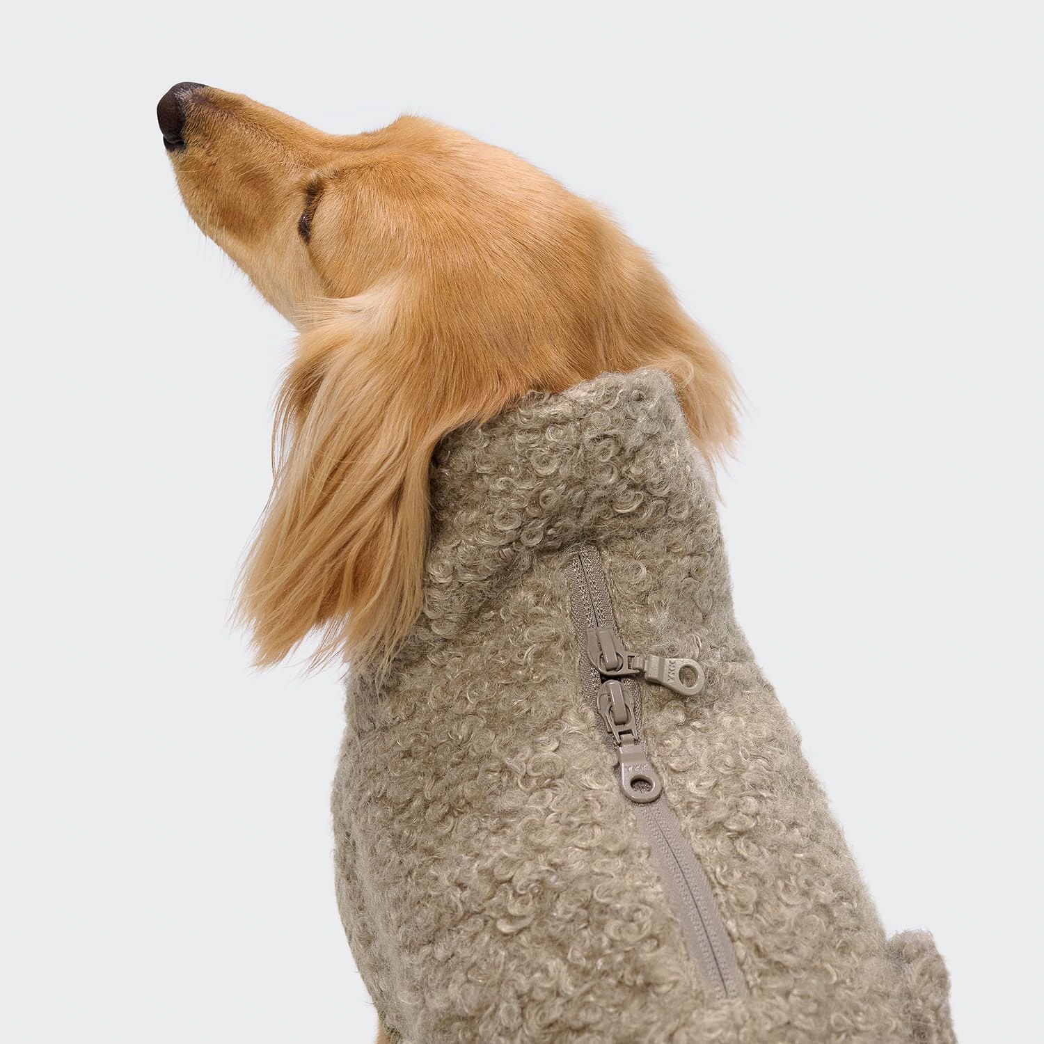 CLOUD7 Dackel Hundepullover Gotland Sandy Brown